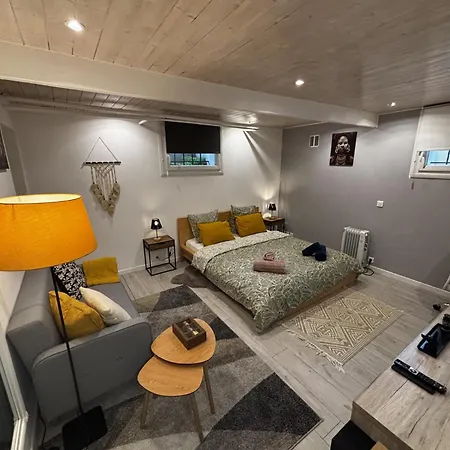 Cozy 2 Steps From Geneva 公寓 Sergy (Ain)